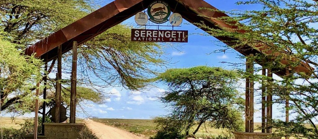 Serengeti National Park: Your 2023 Guide to the Perfect Visit