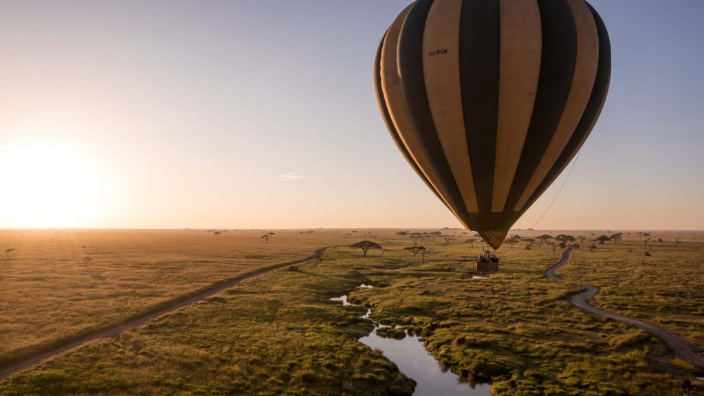 Safari Budget: Choosing the Perfect Safari Guide