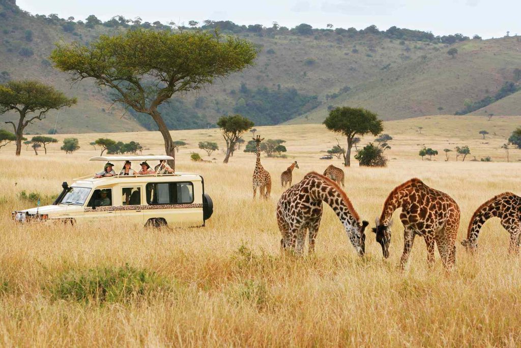 Kenya Tourist Guide Last minute guide