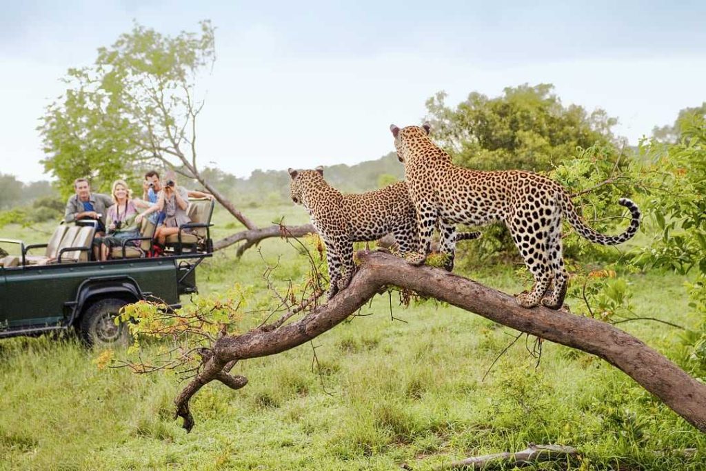 Africa's Top 10 Adventure Holidays: A Journey into the Wild