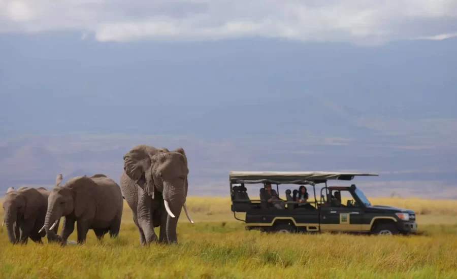 African Safaris - Kenya Safaris - Amboseli National Park - Amboseli Safaris - Kenya Safaris - Cheetah Safaris UK
