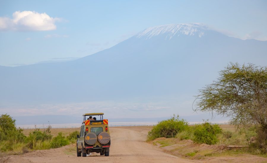 Amboseli National Park - African Safaris - Safari Destinations - African Safari Itineraries - Kenya Safari Itineraries - Kenya Safaris - Cheetah Safaris UK