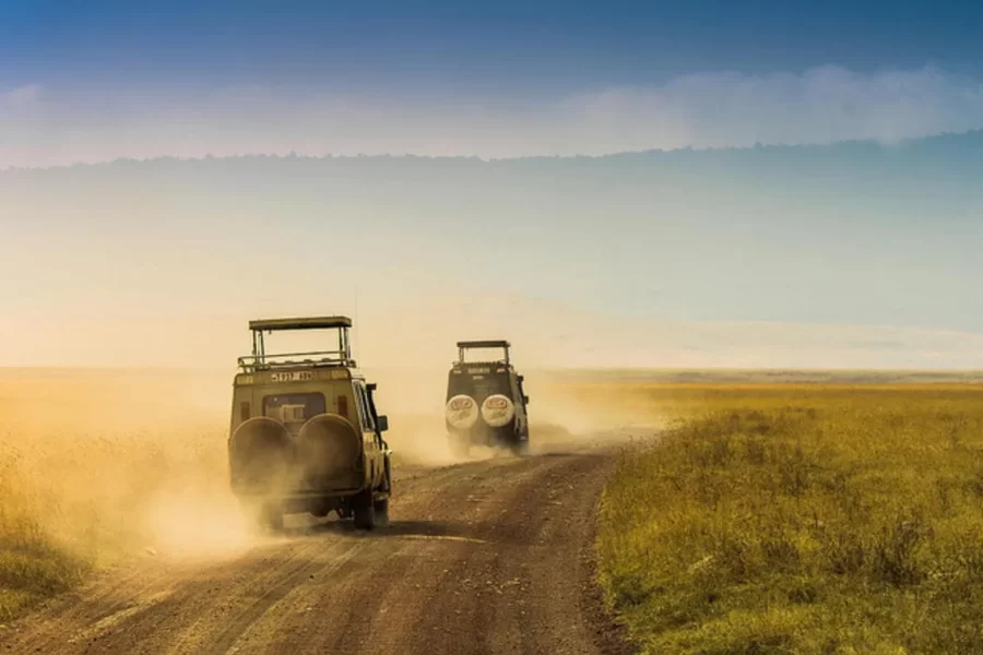 Tanzania Safaris -African Safaris Holidays - Serengeti Safaris - Serengeti National Park - Ngorongoro Safaris - Cheetah Safaris UK