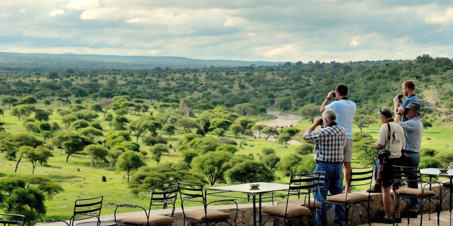 Tanzania Safaris -African Safaris Holidays - Serengeti Safaris - Tarangire Safaris - All Inclusive Safaris - Cheetah Safaris UK